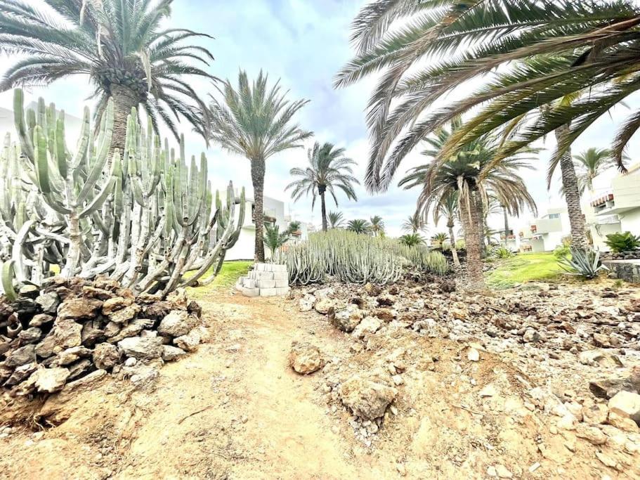 Apartamento Con Piscina Sur De Tenerife 德尔锡伦西奥海岸 外观 照片